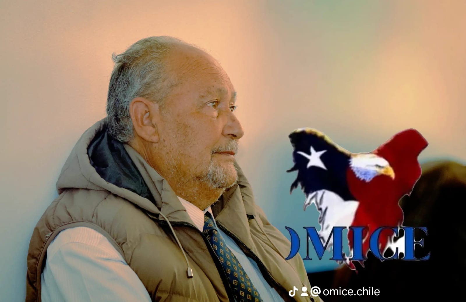 Comunidad y participantes